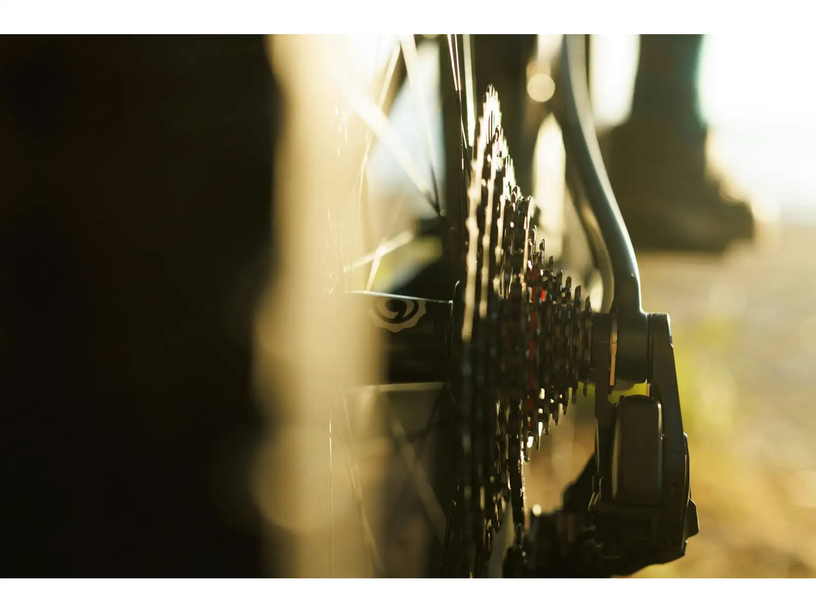 Ibis Ripley V5 Eagle 90 Mountainbike Green Flash