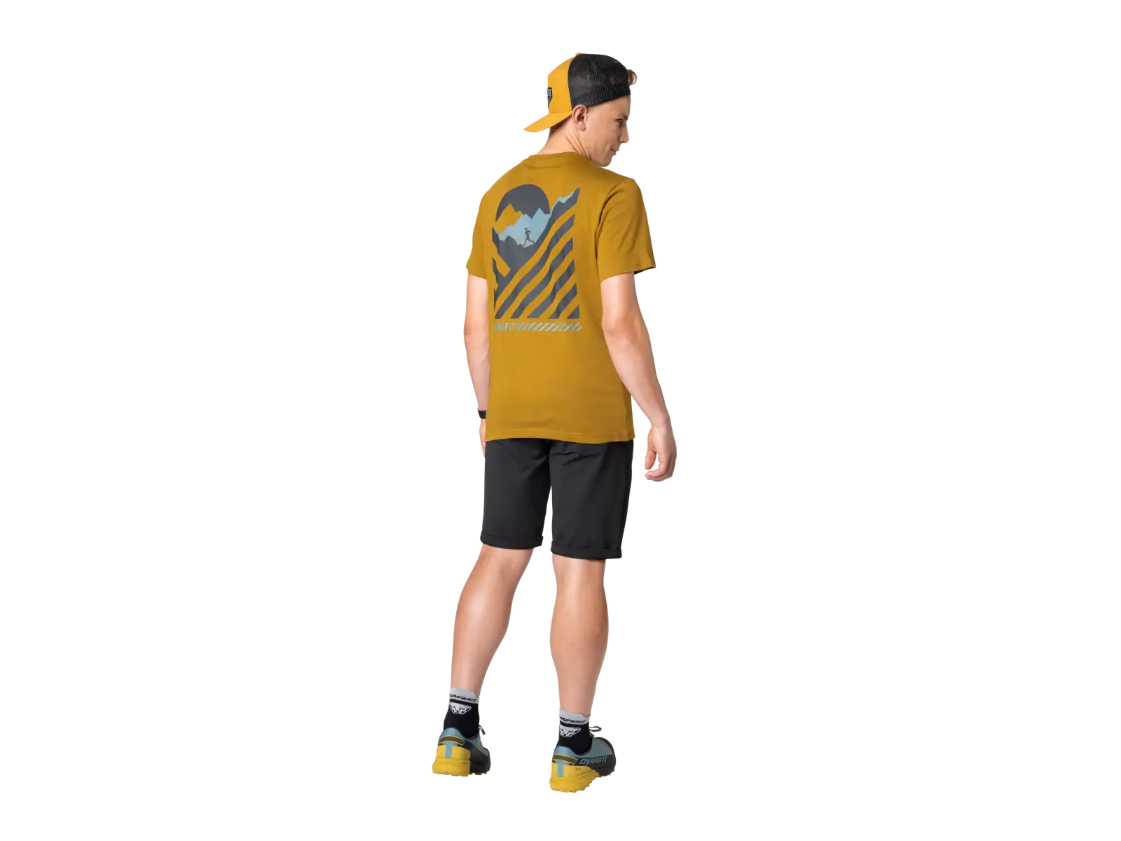 Dynafit 24/7 Graphic Herren T-Shirt Kurzarm Relic/Striped Elevation