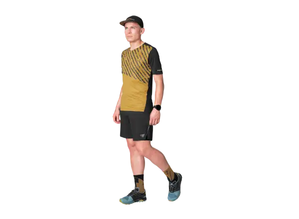 Dynafit Alpine 2 Herren T-Shirt Kurzarm Tobacco
