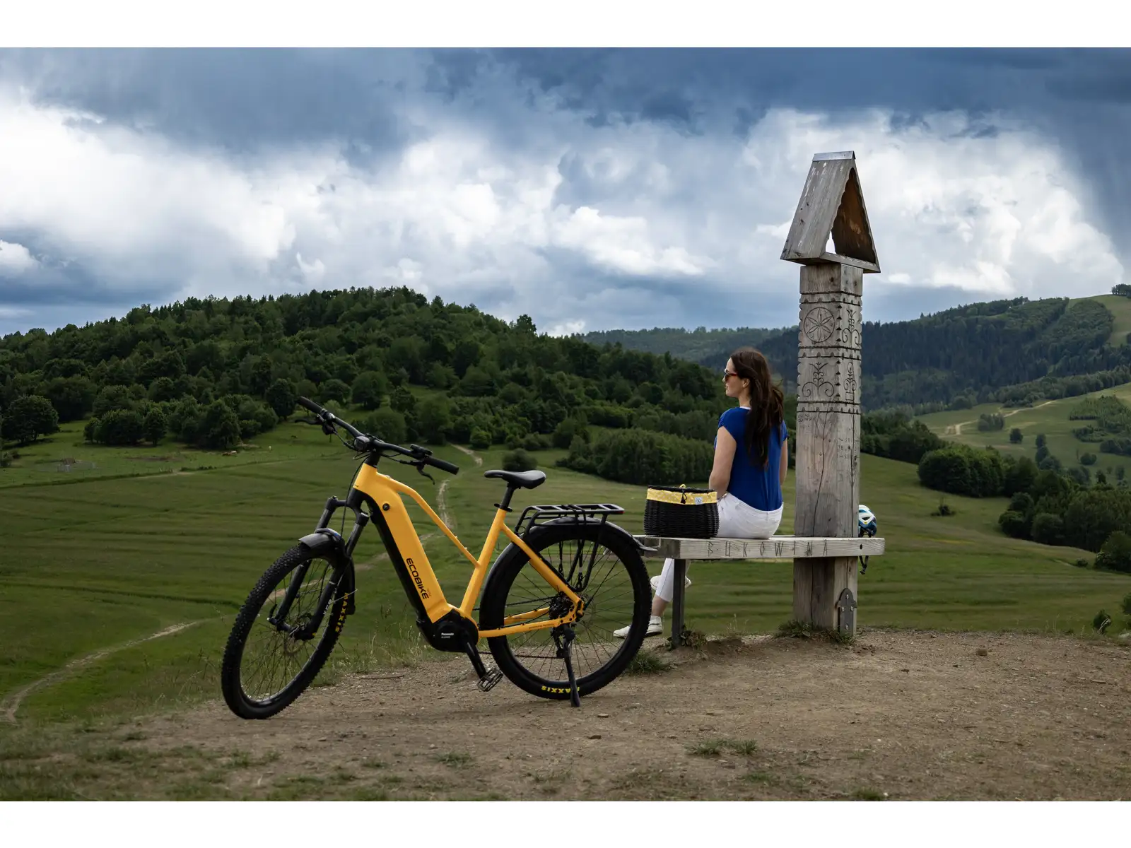 Ecobike Expedition 1080 Wh Yellow SUV Trekking-E-Bike