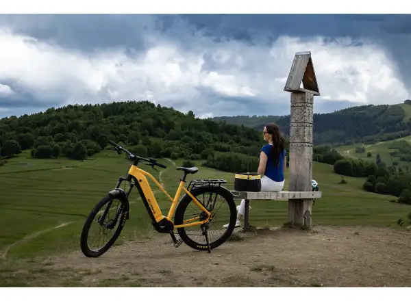 Ecobike Expedition 1080 Wh Yellow SUV Trekking-E-Bike