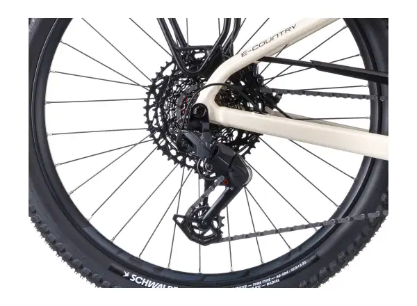 Crussis e-Country AX 10.12-M2(800) City E-Bike
