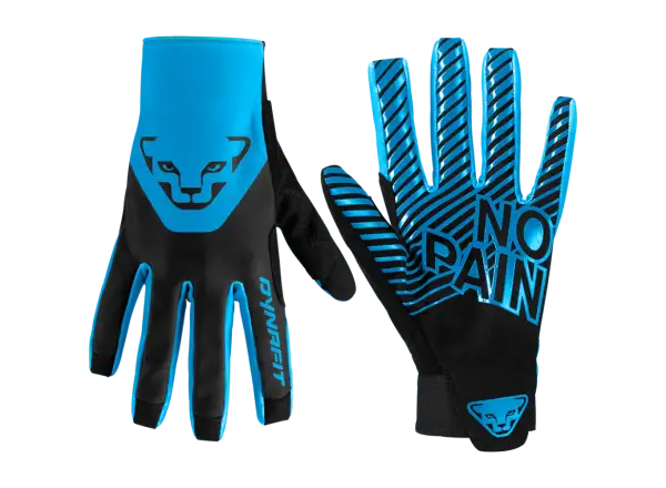 Dynafit DNA 2 Handschuhe Frost