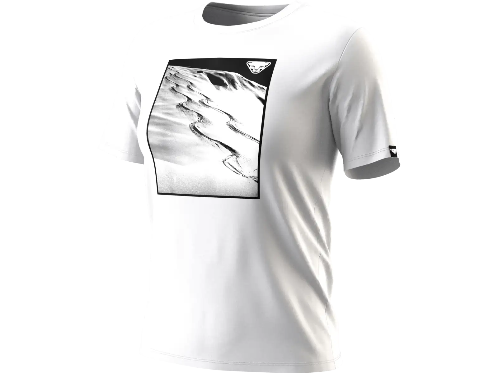Dynafit Graphic Cotton Damen T-Shirt Kurzarm Cinder/Tabloid