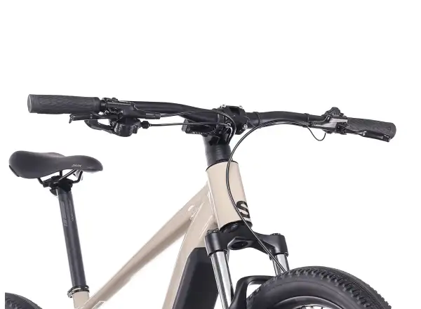 Superior eXP 6.4 STEPS Mountain-E-Bike Gloss Greige