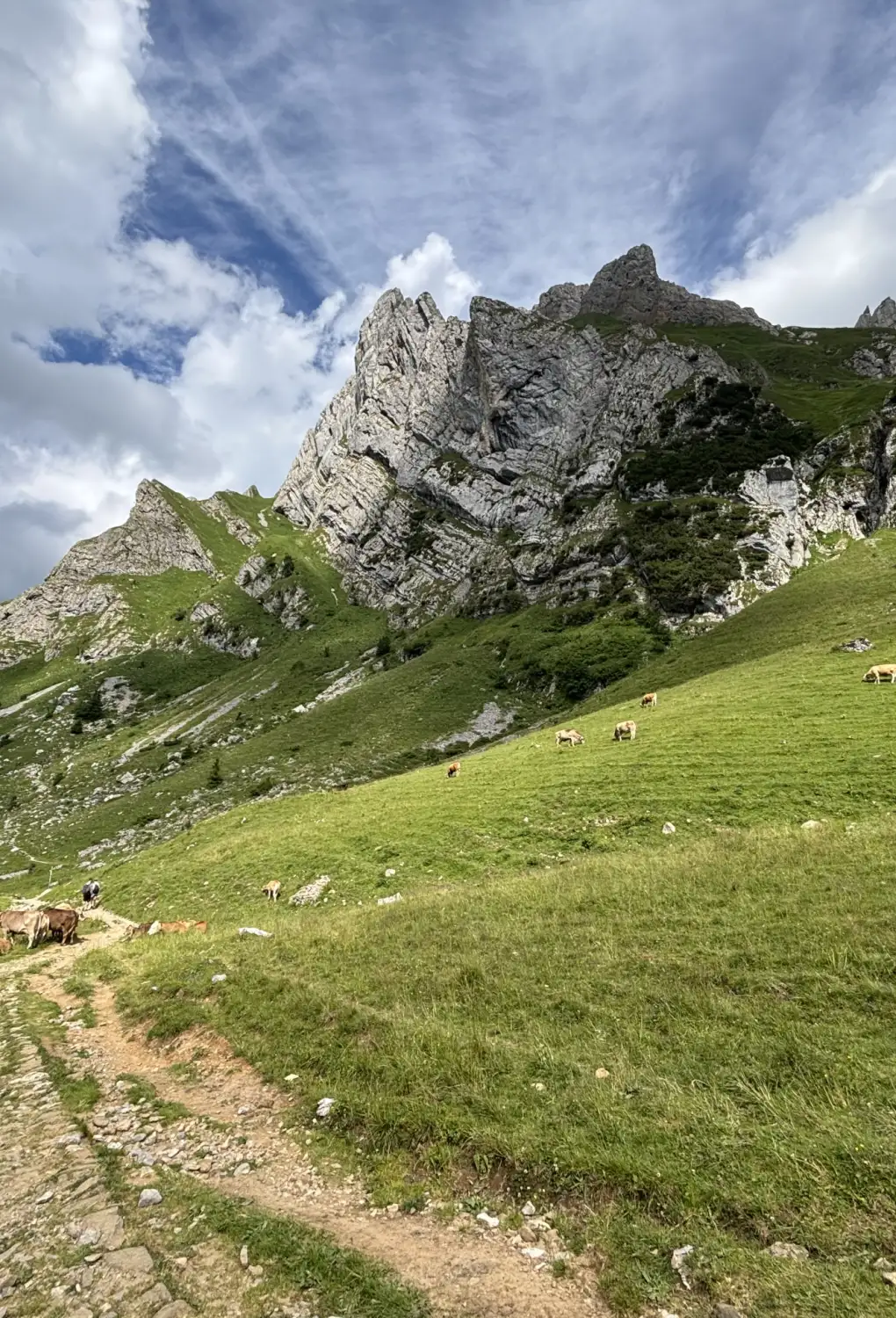 Schweizer Seen und Berge an einem Tag: Entdecken Sie Seealpsee und Ebenalp