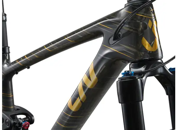 Liv Pique Advanced 29 1 Mountainbike Raw Carbon
