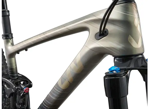 Liv Pique Advanced 29 2 Mountainbike Golden Haze