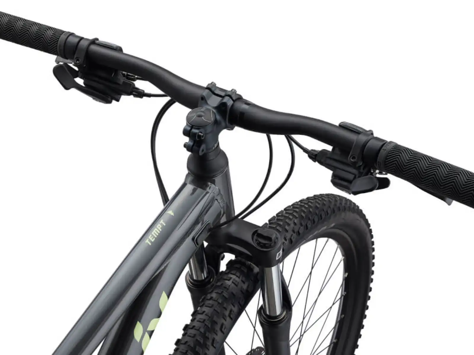 Liv Tempt 4 Mountainbike Black Chrome