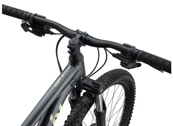 Liv Tempt 4 Mountainbike Black Chrome