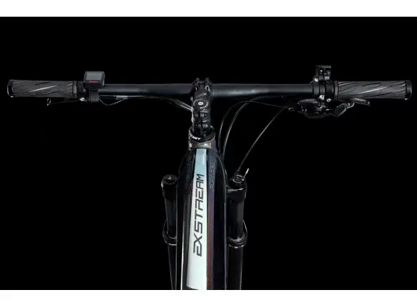 4EVER Exstream Team Mountain-E-Bike Chameleon/Hologram