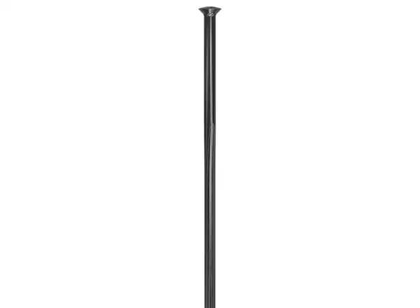 DT Swiss Revolite Straightpull Speiche schwarz