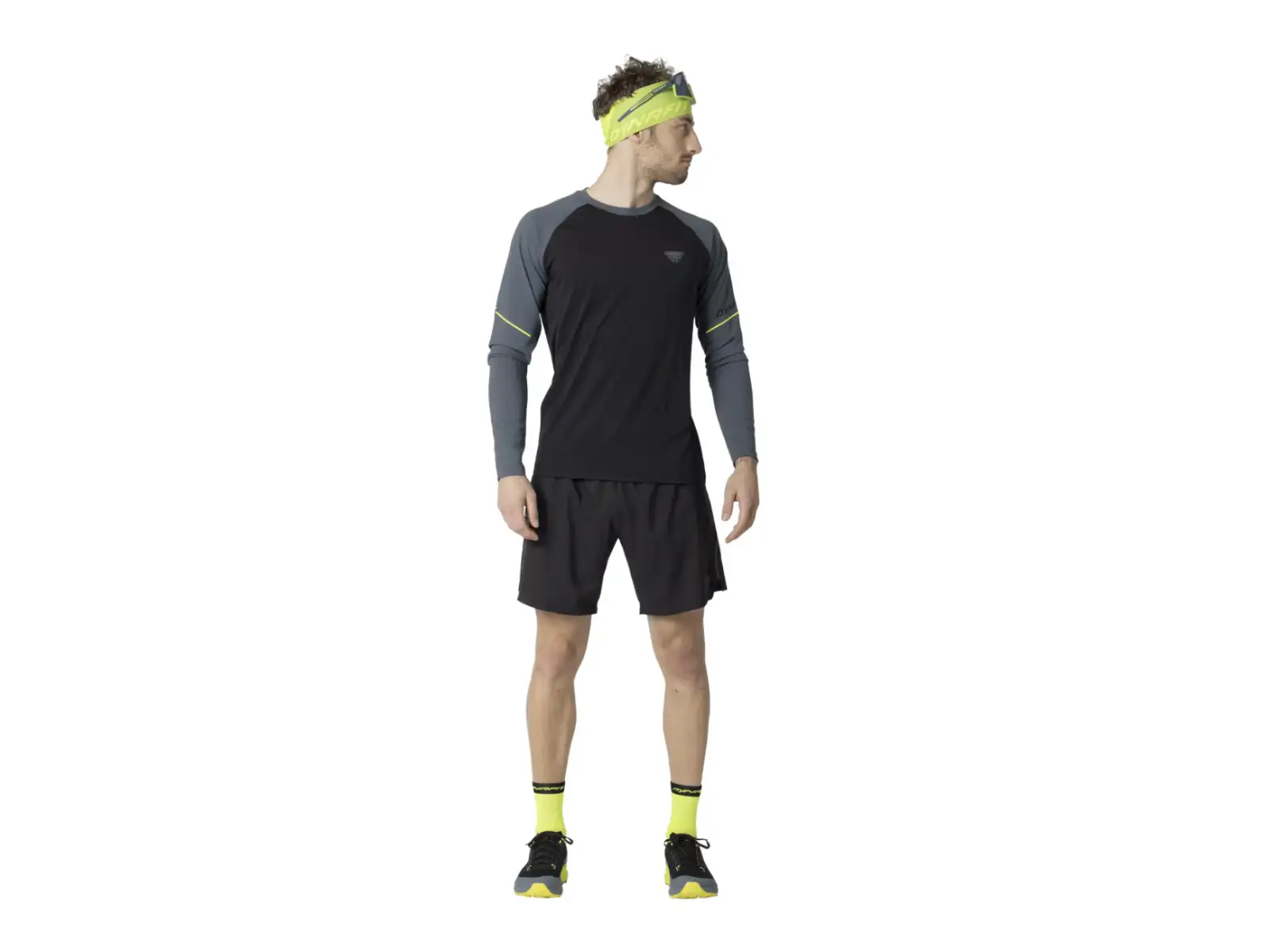 Dynafit Alpine Pro Herren Trikot Langarm Cinder
