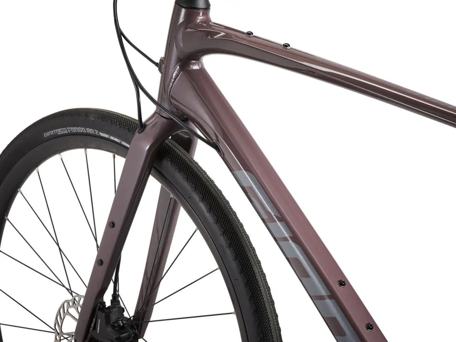 Giant FastRoad AR 3 Fitness Fahrrad charcoal plum