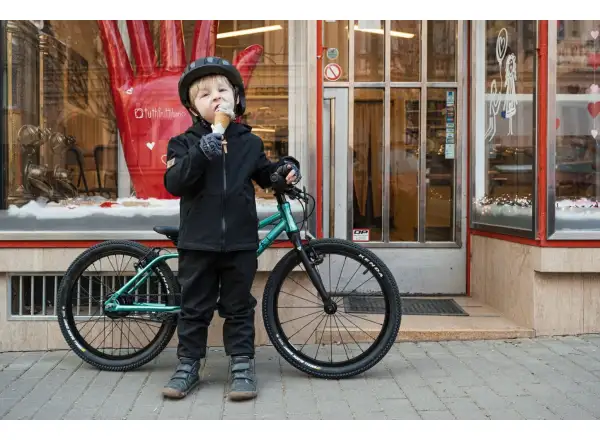 Rascal 20 Limited Kinderfahrrad Emerald