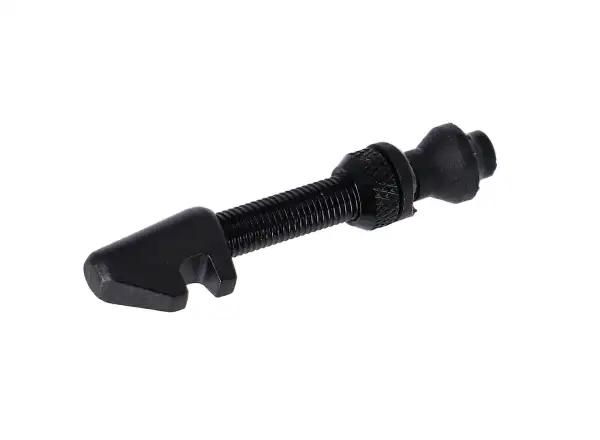 DT Swiss Tubeless Ventilmuttern 18-25 mm Schwarz