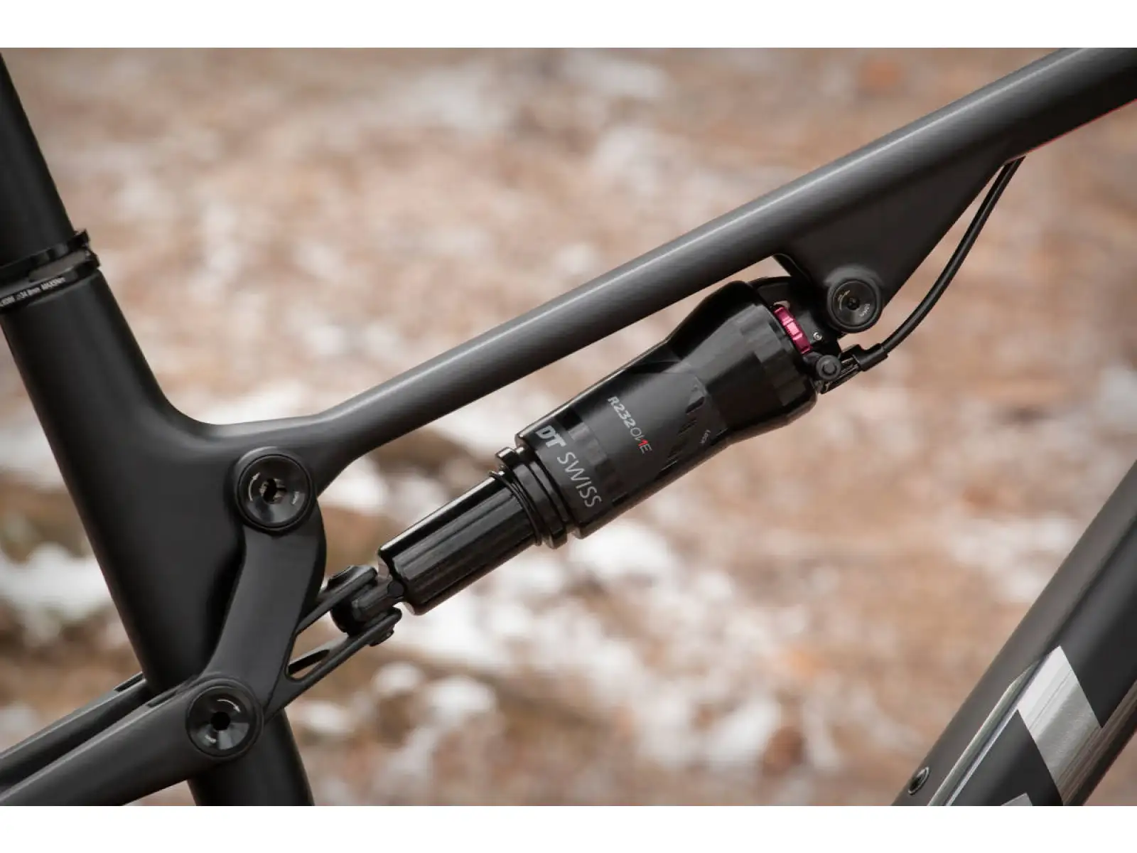 Mountainbike Superior Team XF 29 Gloss Carbon/Chrome
