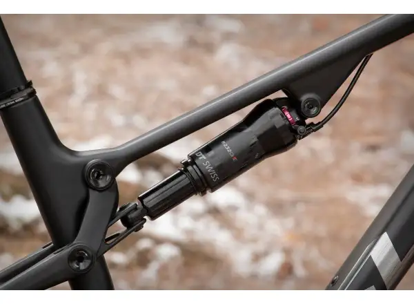 Mountainbike Superior Team XF 29 Gloss Carbon/Chrome