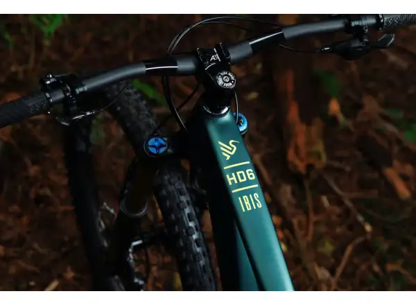 Ibis HD6 GX Getriebe Mountainbike grün