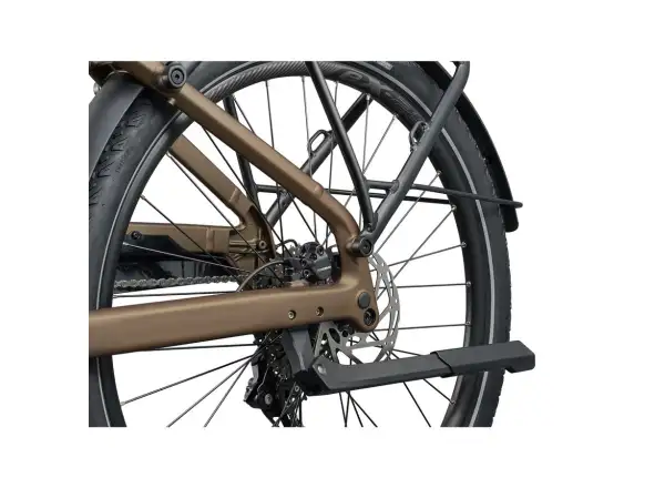Giant Explore E+ 3 DD Trekking-E-Bike Pyrite Brown