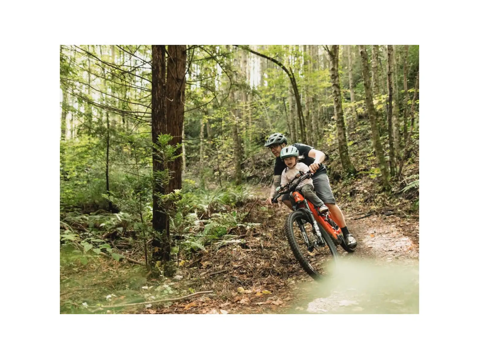 Kids Ride Shotgun MTB Pro Kids Kindersitz