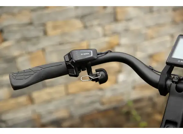 Superior eWAY 6.4 City E-Bike Matte Copper Black