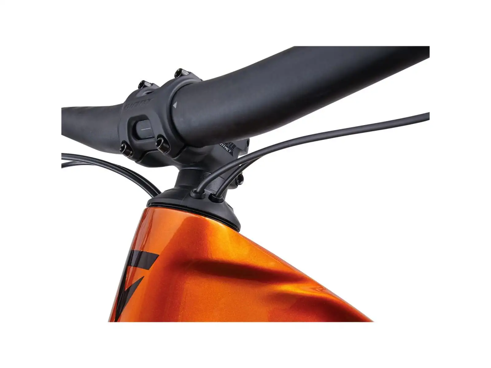 Giant Trance X Advanced E+ EL 2 Elektro-Mountainbike Amber Glow / Cordovan