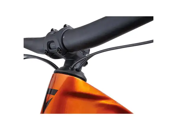 Giant Trance X Advanced E+ EL 2 Elektro-Mountainbike Amber Glow / Cordovan