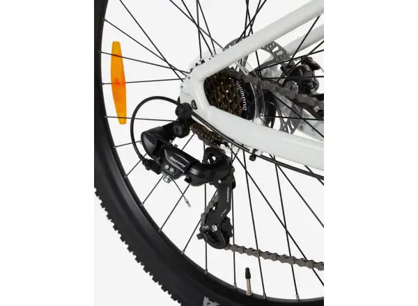 Liv Tempt 5 Mountainbike Schneewehen