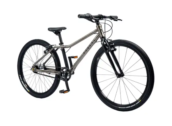 Rascal 24 3 sp. Shimano Nexus Kinderfahrrad Titan