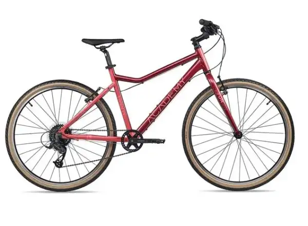 Academy Grade 6 Edition Funtasy Kinderfahrrad Rot