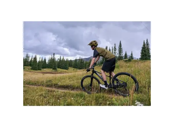 Giant Talon 29 3 Mountainbike Frost Silver