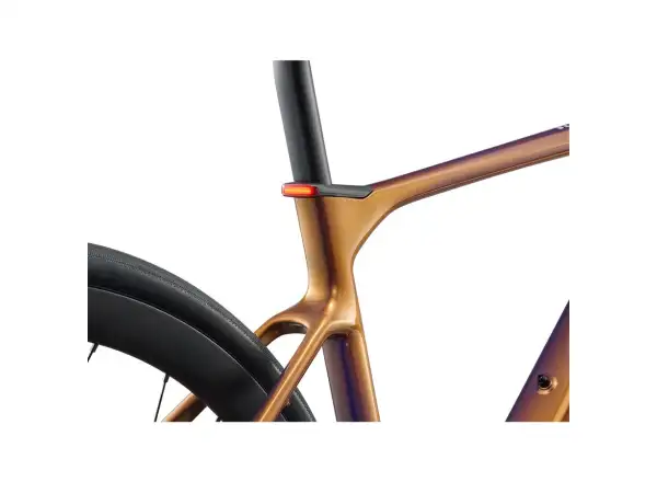 Giant Defy Advanced E+ Elite 1 Renn-E-Bike Meteor Storm