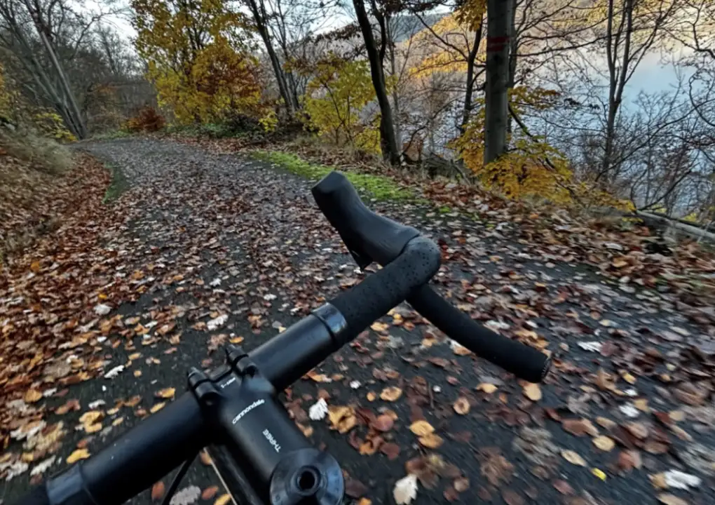 Radfahren als Medizin: Warum ist es gut für Körper und Psyche?