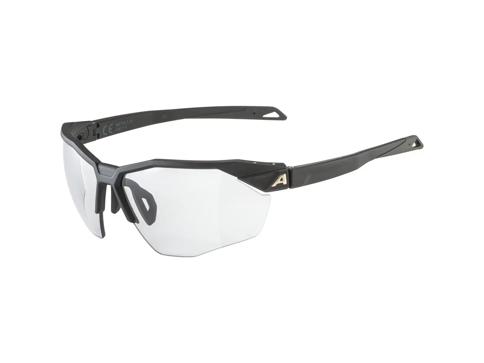 Alpina Twist Six HR Brille Black Matt