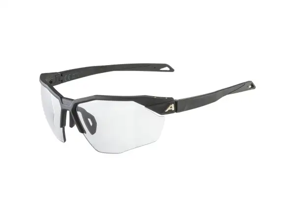 Alpina Twist Six HR Brille Black Matt