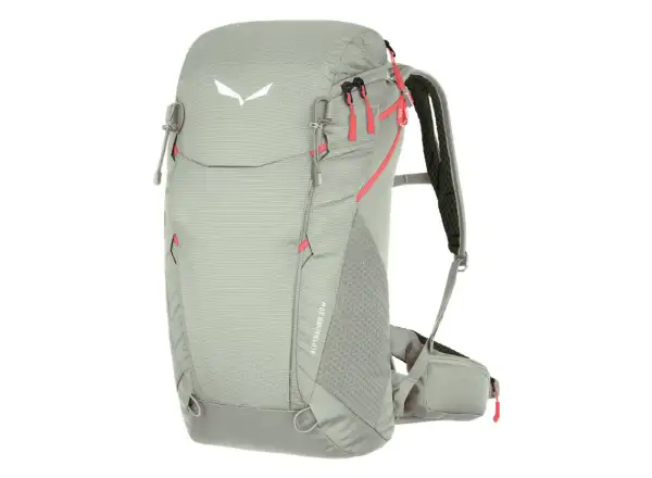 Salewa Alp Trainer 20 W Damen Rucksack Shadow