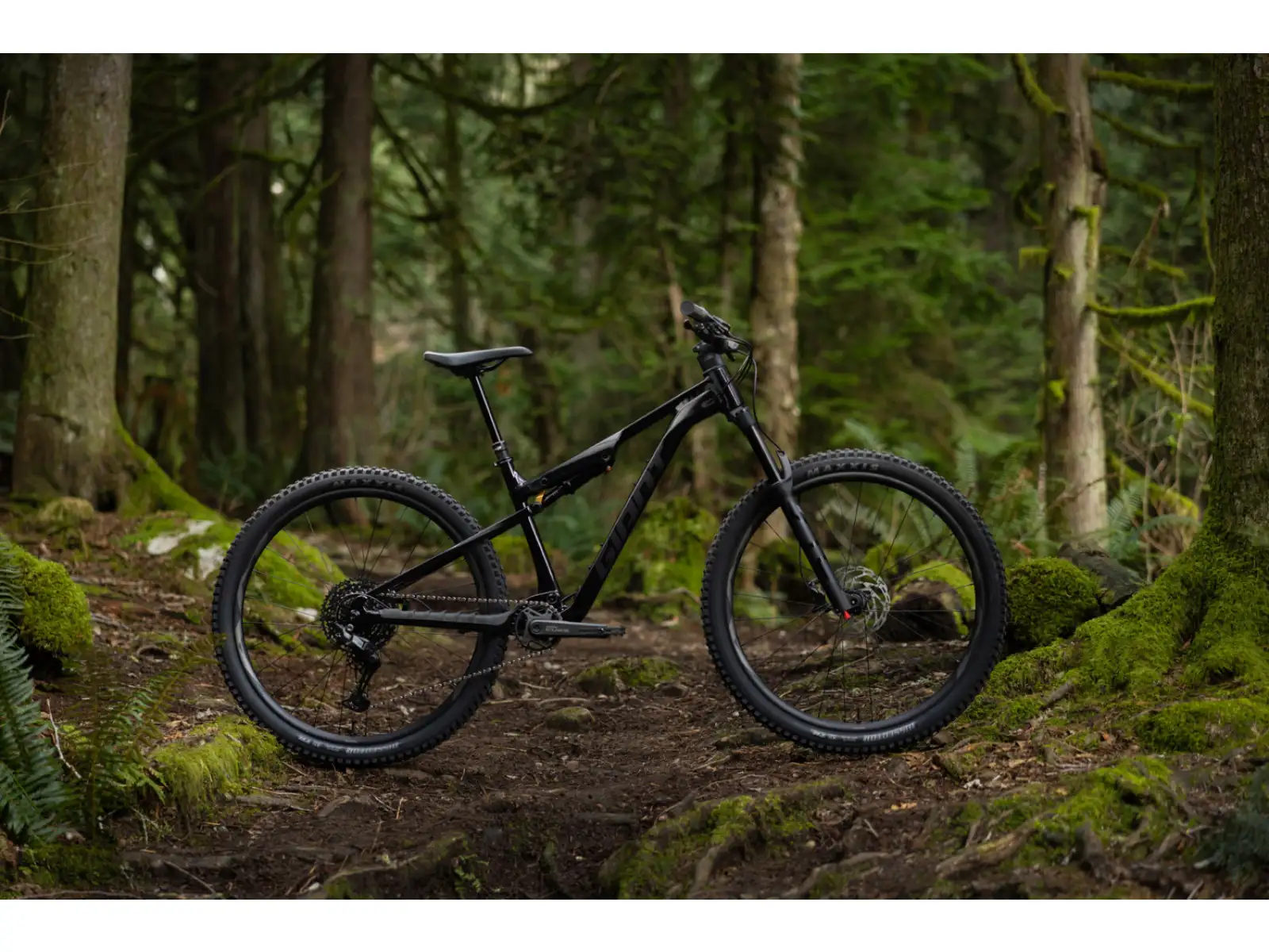 Giant Stance 2026 Mountainbike Black