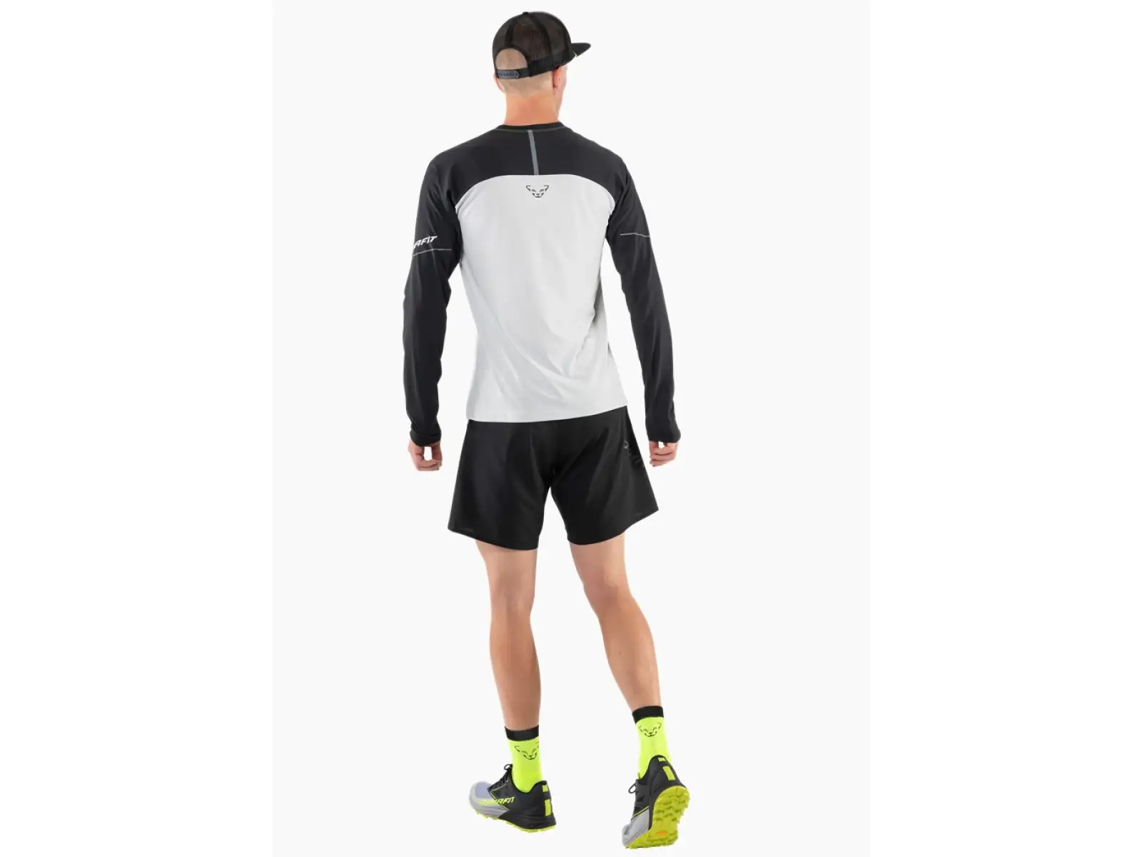 Dynafit Alpine Pro Herren Langarmshirt Blueberry/Storm Blue