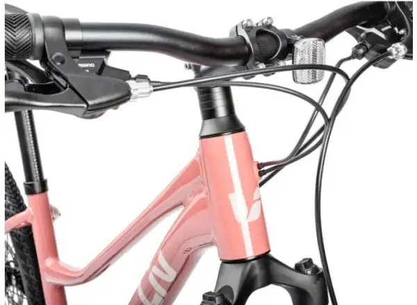 Liv Rove 4 DD Trekking Fahrrad in Terra Rosa.
