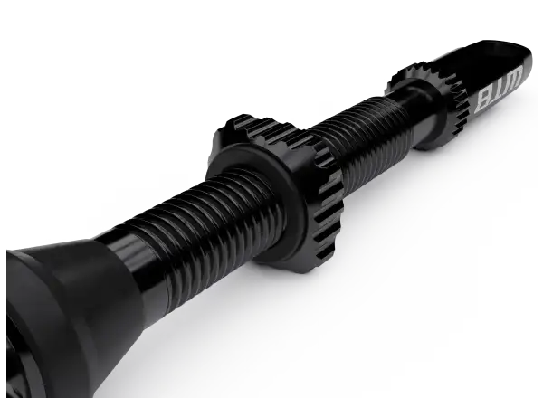WTB TCS AL Max-Flow Presta Ventile für schlauchlos 55 mm schwarz 2 Stk.