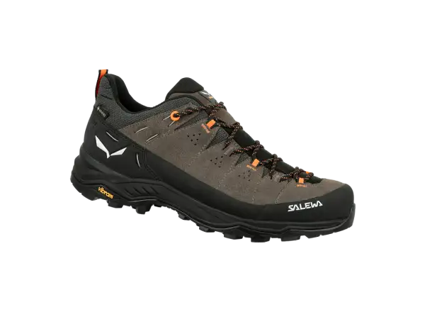 Salewa Alp Trainer 2 GTX Herrenschuhe Bungee Cord/Black