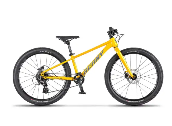 Beany Blaster XC 20 Kinderfahrrad Gold