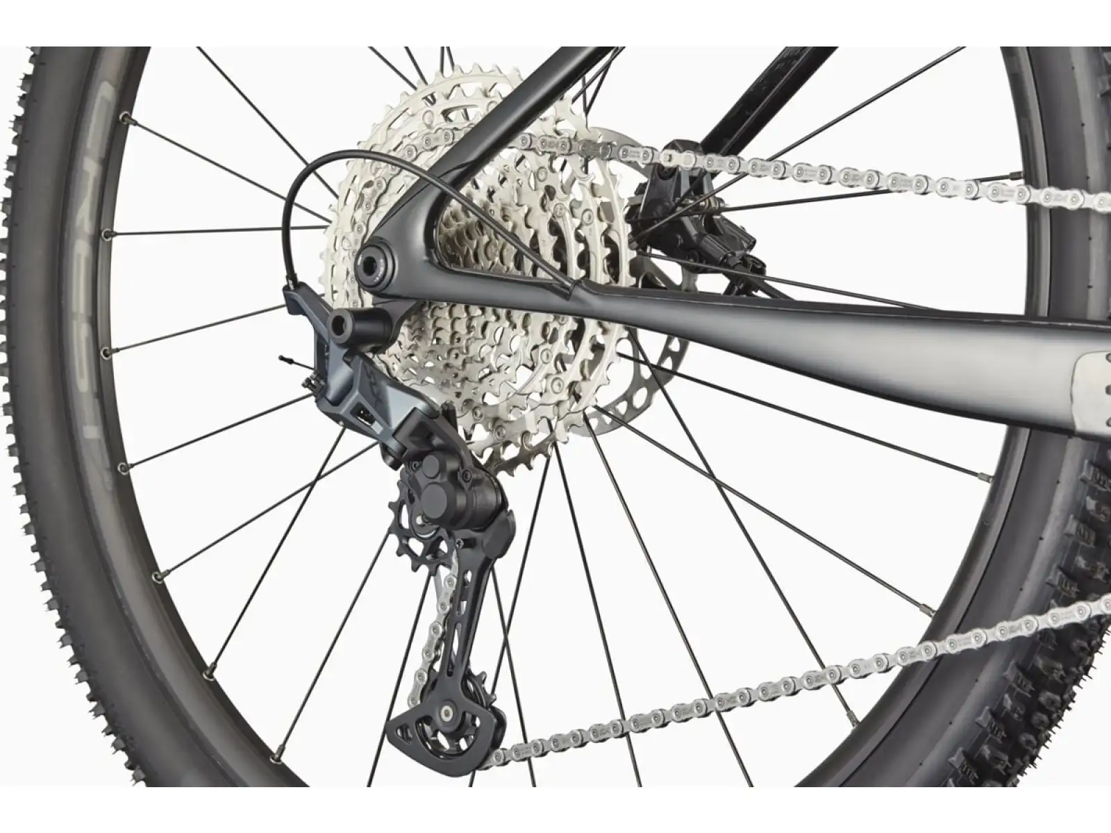 Cannondale Scalpel HT Carbon 2 Mountainbike SBK