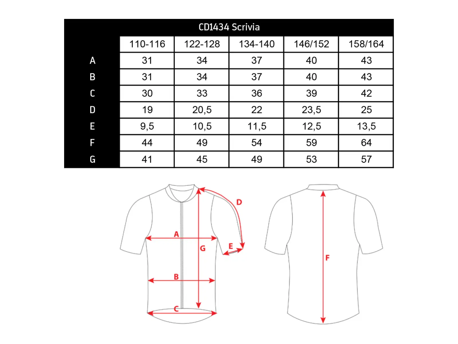 Silvini Scrivia Kindertrikot kurzarm Blau/Gelb