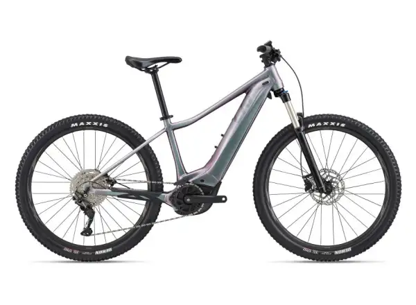 Liv Vall-E+ 2 29 Echeveria 2022 Damen E-Mountainbike