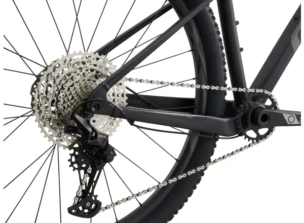 Giant XTC SLR 29 2 Schwarz 2022 Mountainbike