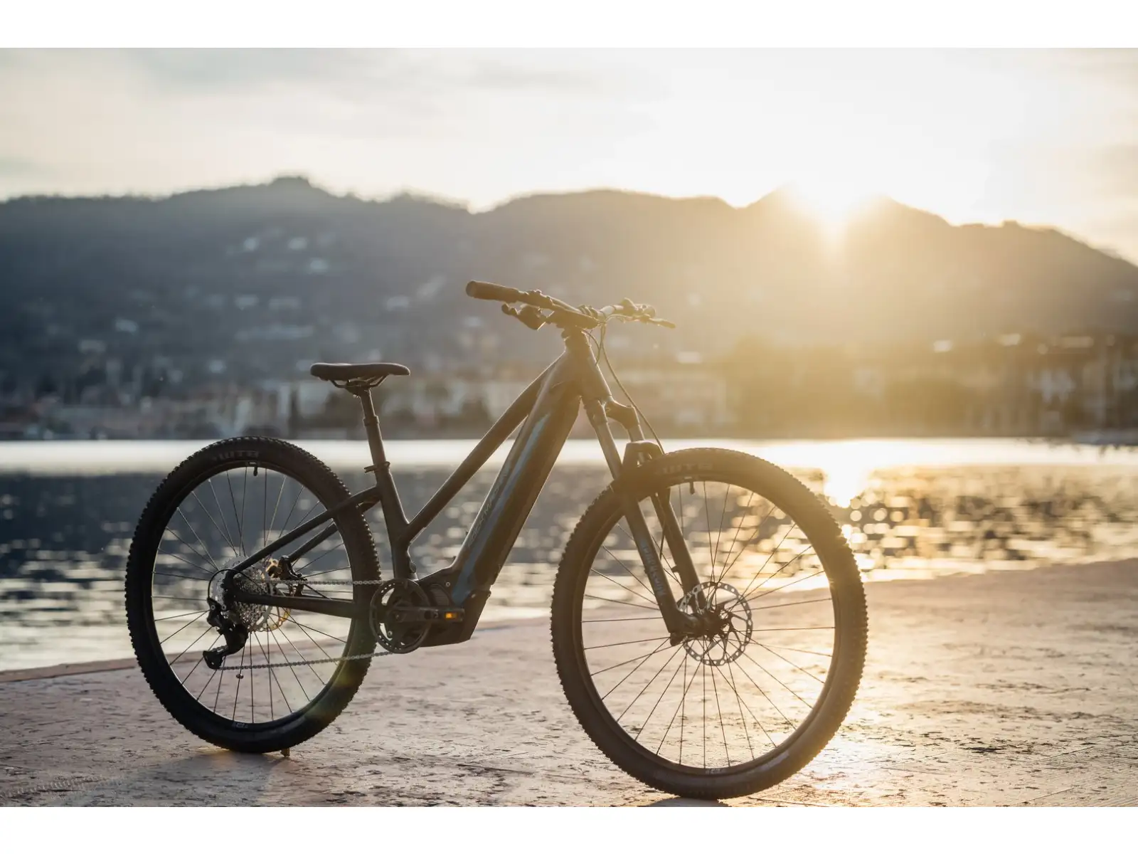 Rock Machine Torrent E90-29 Easy Entry Mountain-E-Bike Petrol MUSTER