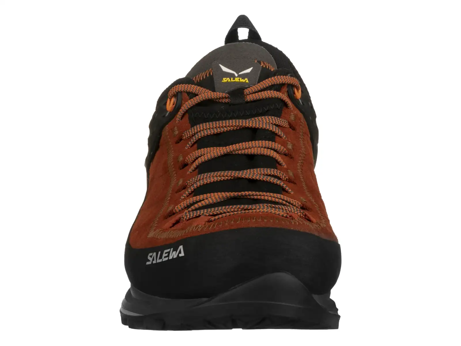 Salewa MTN Trainer 2 GTX MS Herren Trekkingstiefel