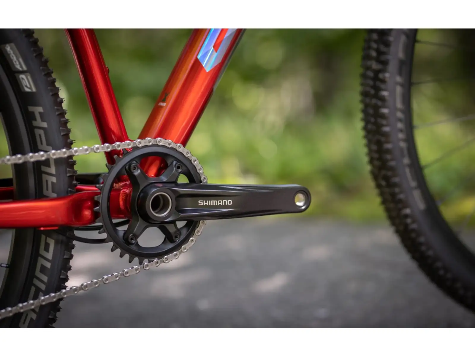 Superior XP 919 Mountainbike Gloss Dark Red/Hologram Chrome